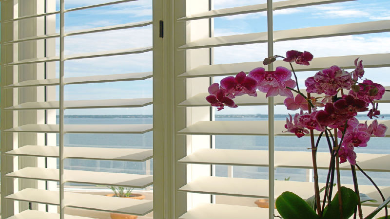 The Most Beautiful Shutter Blinds in Sarasota, FL