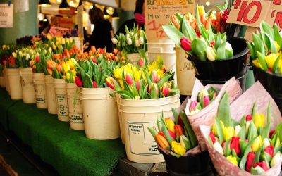 The Best Occasions to Visit a Florist Shop in Palo Alto